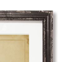 Design Shop Framed Vintage Fern Prints, Set Of 8