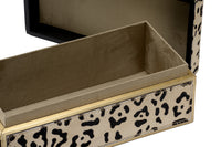 Wildwood Boxed In - Leopard