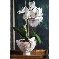 Abigails White Ceramic Bowl with Bird