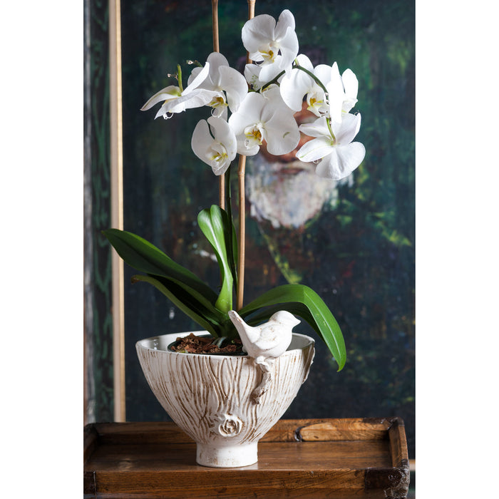 Abigails White Ceramic Bowl with Bird