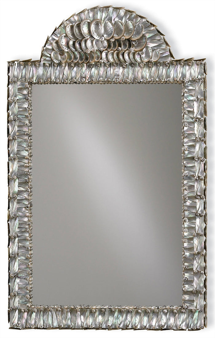 Currey and Company Mirror from the Abalone collection in Natural/Mirror finish
