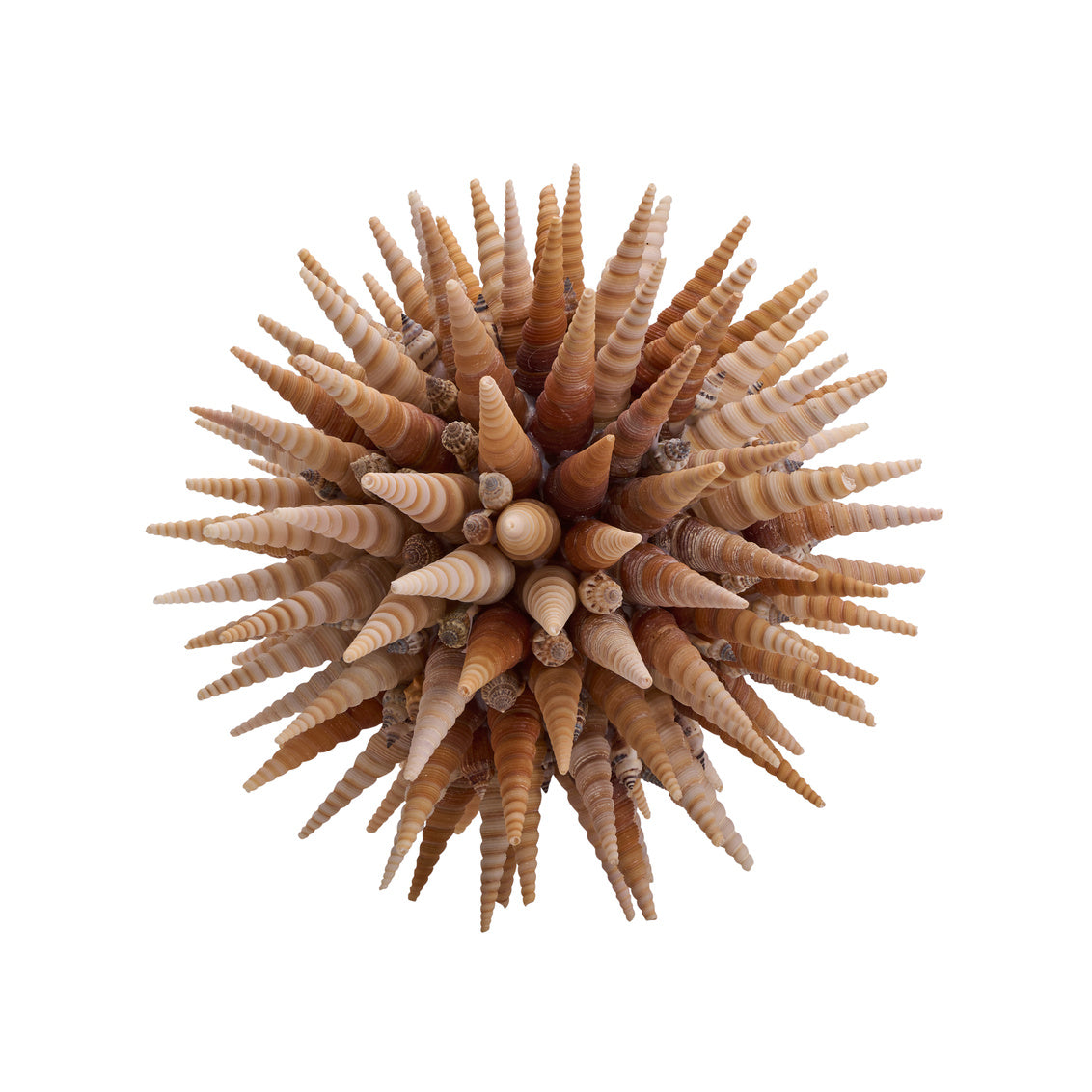 Chelsea House Marlin Shell Ball (Lg)