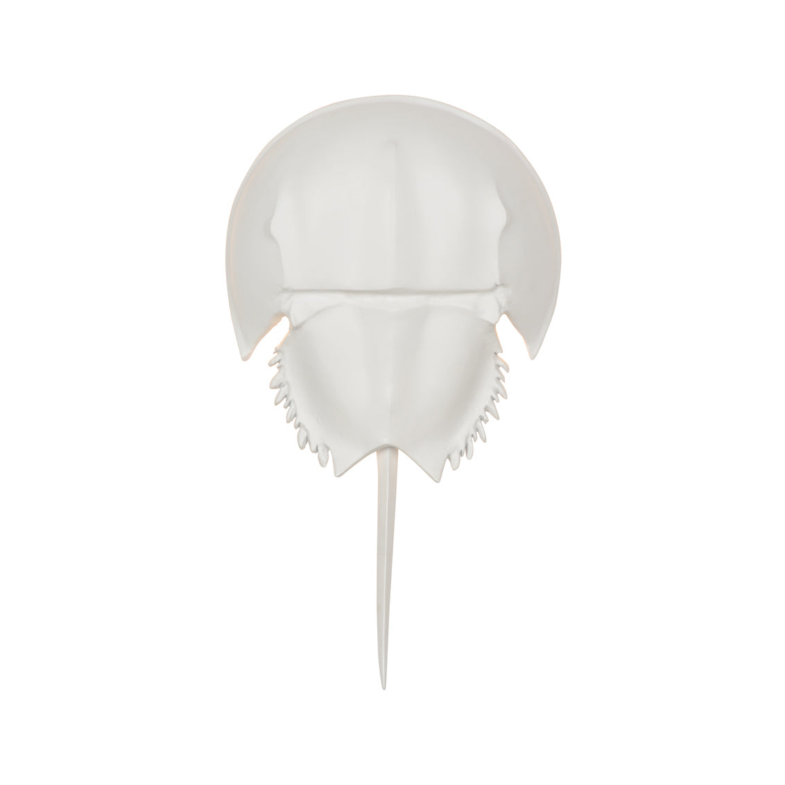 Chelsea House Horseshoe Crab Sconce - White