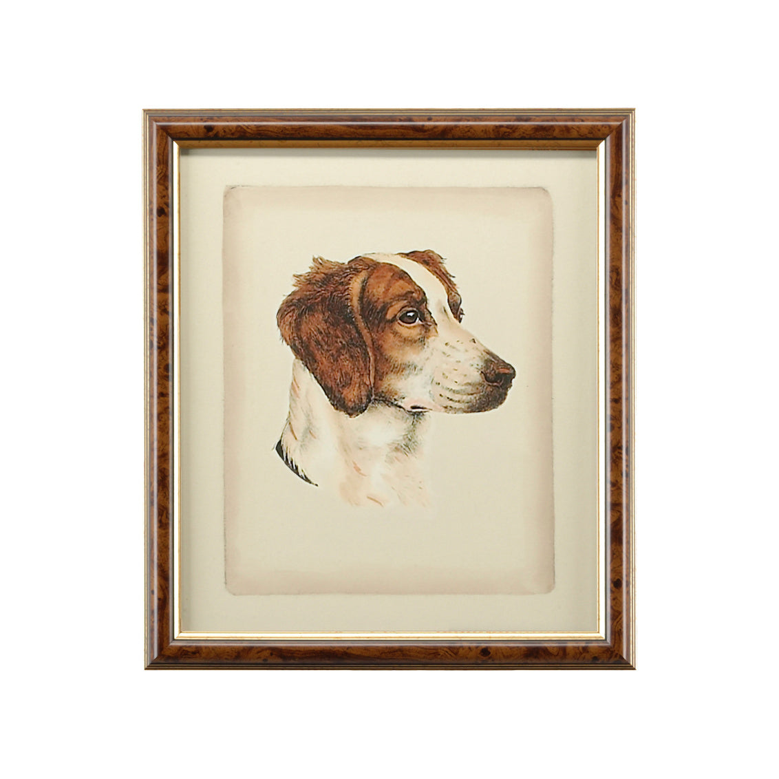 Chelsea House Danchin Brittany Spaniel