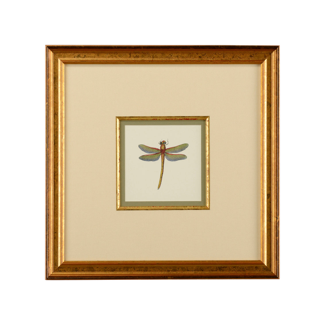 Chelsea House Miniature Dragonfly II
