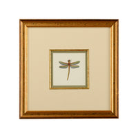 Chelsea House Miniature Dragonfly II