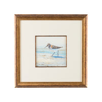 Chelsea House Sand Piper II