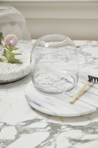 Design Shop Oliver Terrarium 6.75"x 7"