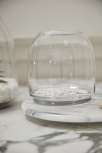 Design Shop Oliver Terrarium 6.75"x 7"