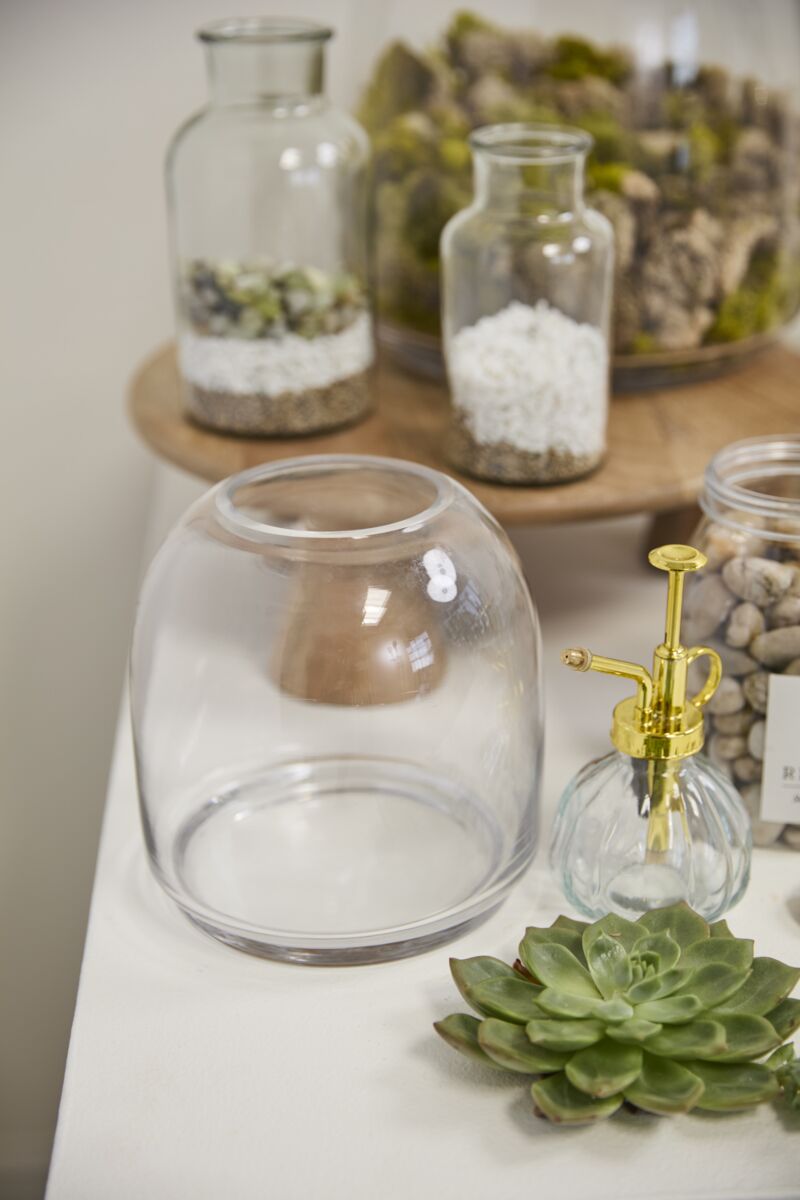 Design Shop Oliver Terrarium 6.75"x 7"