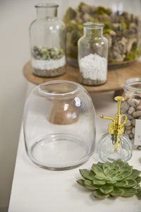 Design Shop Oliver Terrarium 6.75"x 7"