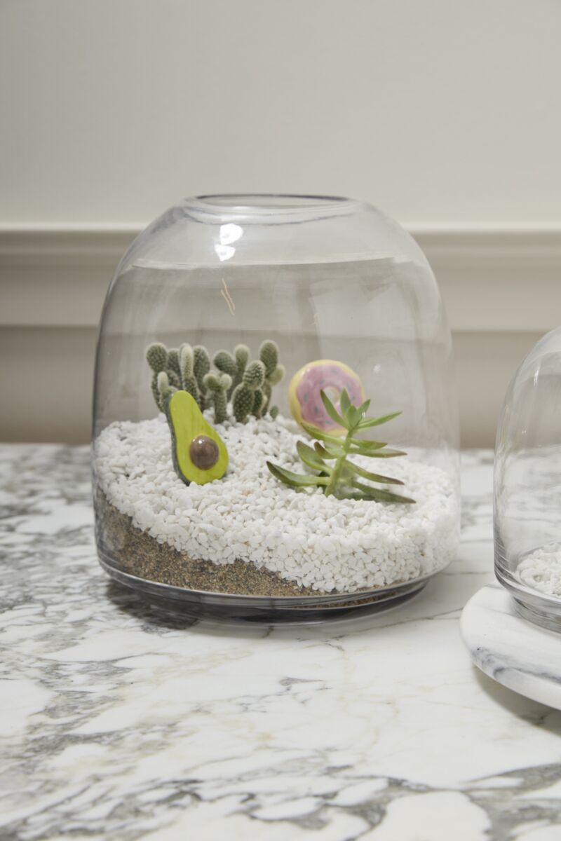 Design Shop Oliver Terrarium 10.5"x 11.25"