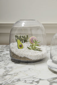 Design Shop Oliver Terrarium 10.5"x 11.25"