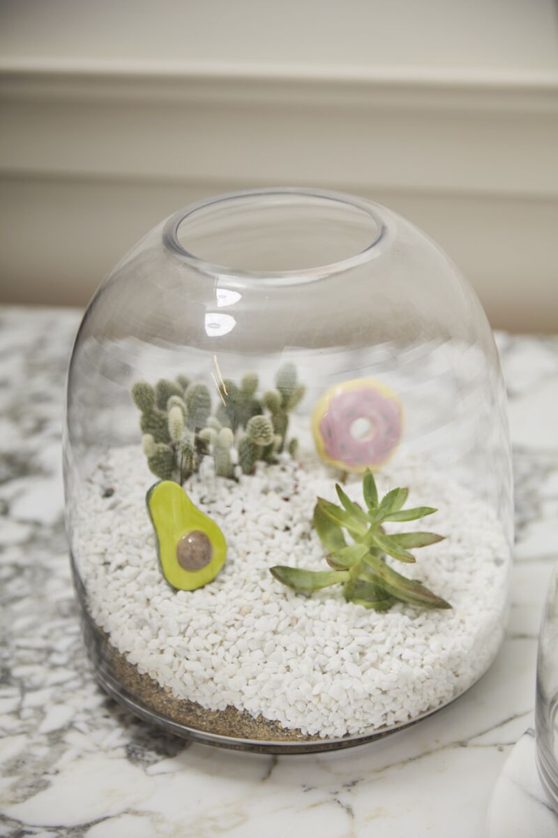 Design Shop Oliver Terrarium 10.5"x 11.25"
