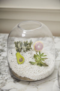 Design Shop Oliver Terrarium 10.5"x 11.25"