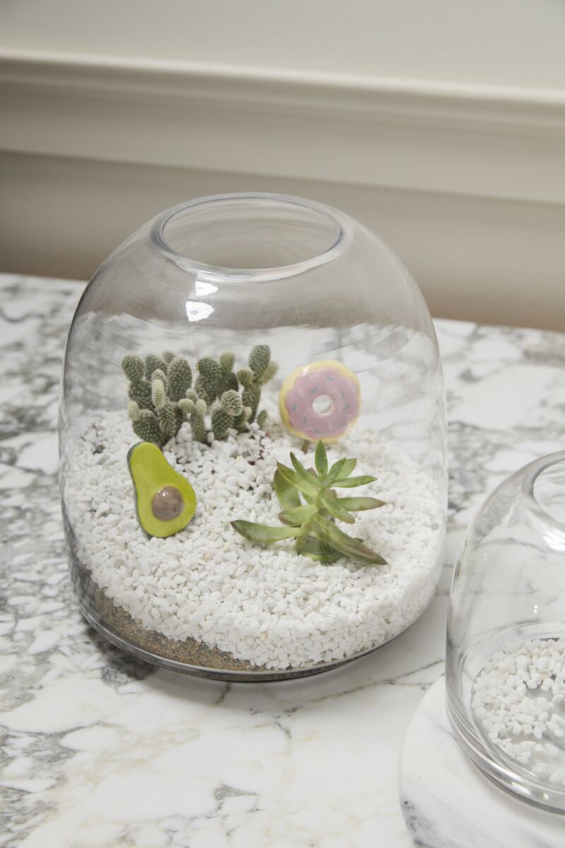 Design Shop Oliver Terrarium 10.5"x 11.25"