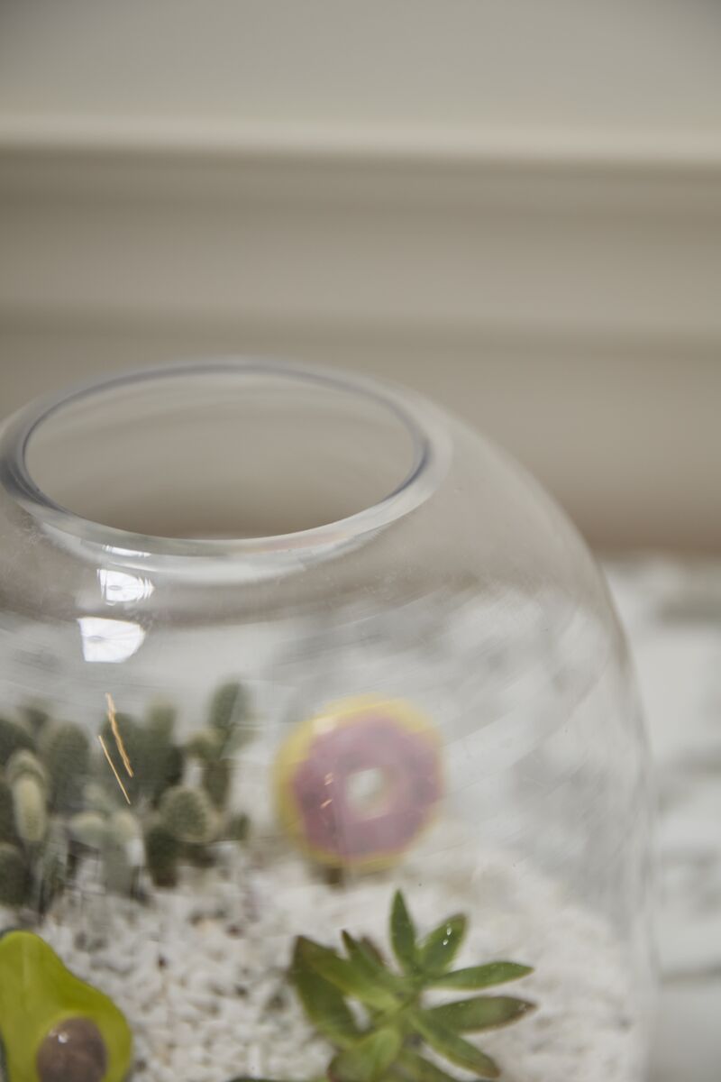 Design Shop Oliver Terrarium 10.5"x 11.25"