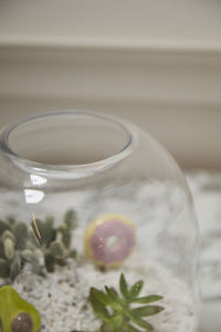 Design Shop Oliver Terrarium 10.5"x 11.25"