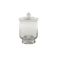 Design Shop Asteridge Terrarium 6.75"x 10"