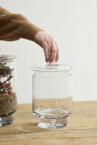 Design Shop Asteridge Terrarium 6.75"x 10"