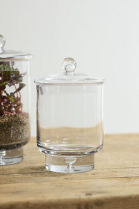 Design Shop Asteridge Terrarium 6.75"x 10"