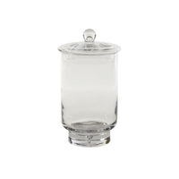 Design Shop Asteridge Terrarium 6.75"x 12"