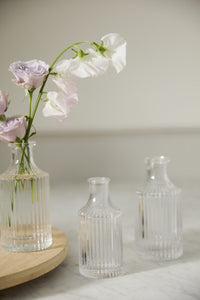 Design Shop Clear Karina Budvase, 2.25" X 5", Set of 3.