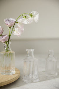 Design Shop Clear Karina Budvase, 2.5" X 5.5", Set of 3.