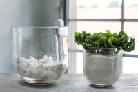 Design Shop Clear Fat Bowl Vase, 9.5" X 9.5"