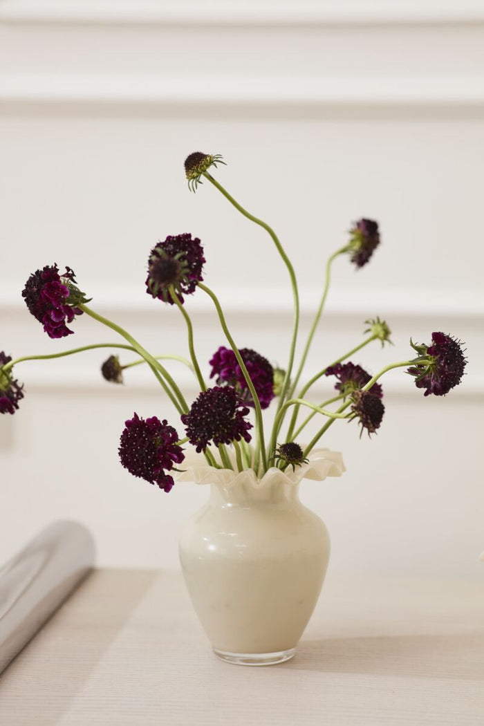 Design Shop Flounce Vase 5"x 5.5"