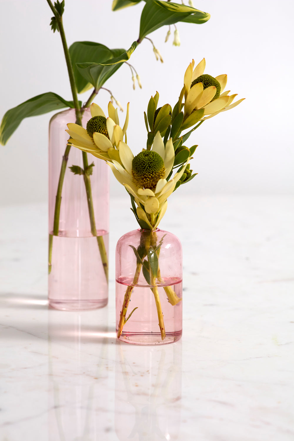 Design Shop Highball Budvase 2.25"x 4", Set of 4