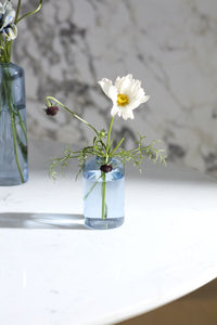 Design Shop Highball Budvase 2.25"x 4", Set of 4