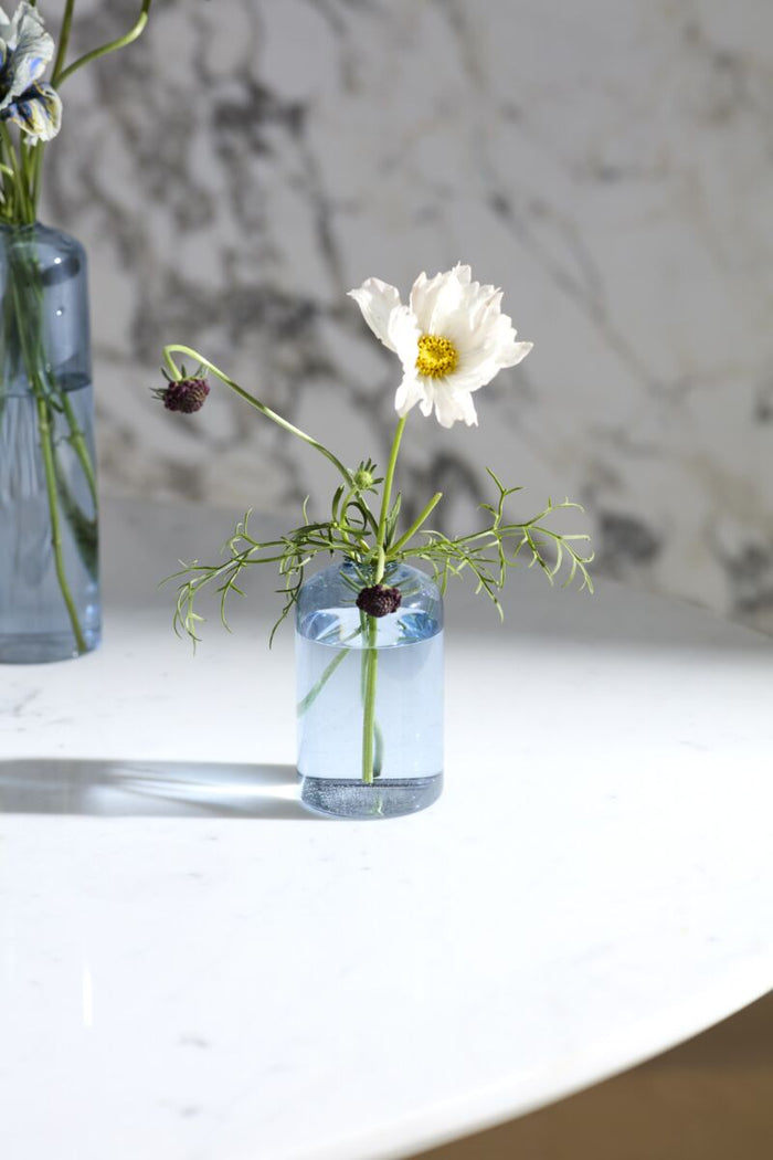 Design Shop Highball Budvase 2.25"x 4", Set of 4