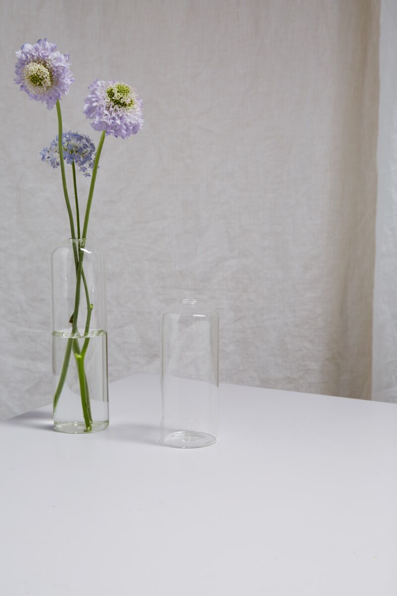 Design Shop Clear Highball Budvase, 2.25" X 6", Set of 4.