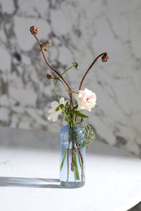 Design Shop Highball Budvase 2.25"x 6", Set of 4