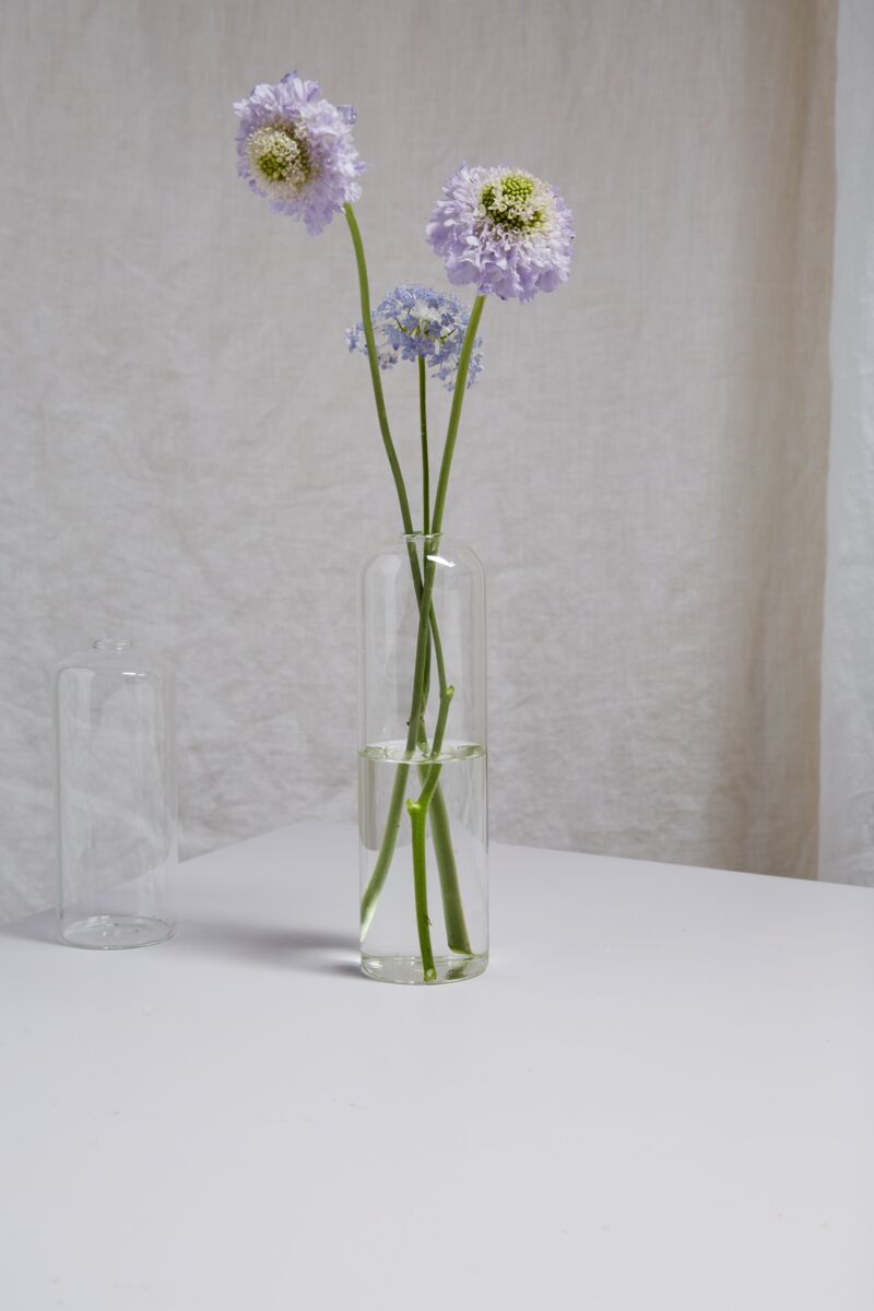 Design Shop Clear Highball Budvase, 2.25" X 8", Set of 4.