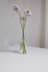 Design Shop Clear Highball Budvase, 2.25" X 8", Set of 4.