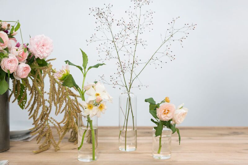 Design Shop Clear Highball Budvase, 2.25" X 8", Set of 4.