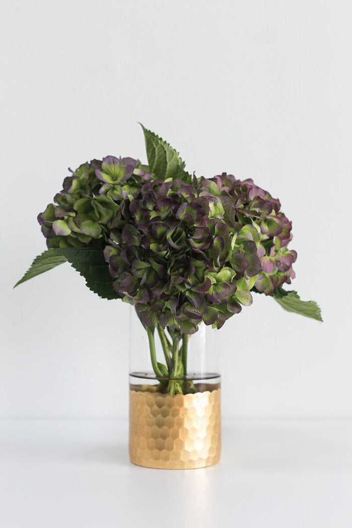Design Shop Elsa Cylinder Vase 3.75"x 8"