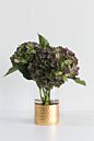 Design Shop Elsa Cylinder Vase 3.75"x 8"