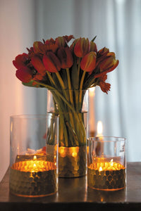 Design Shop Elsa Cylinder Vase 3.75"x 8"