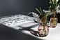 Design Shop Brielle Budvase 3.5"x 2.25"x 4.25", Set of 2
