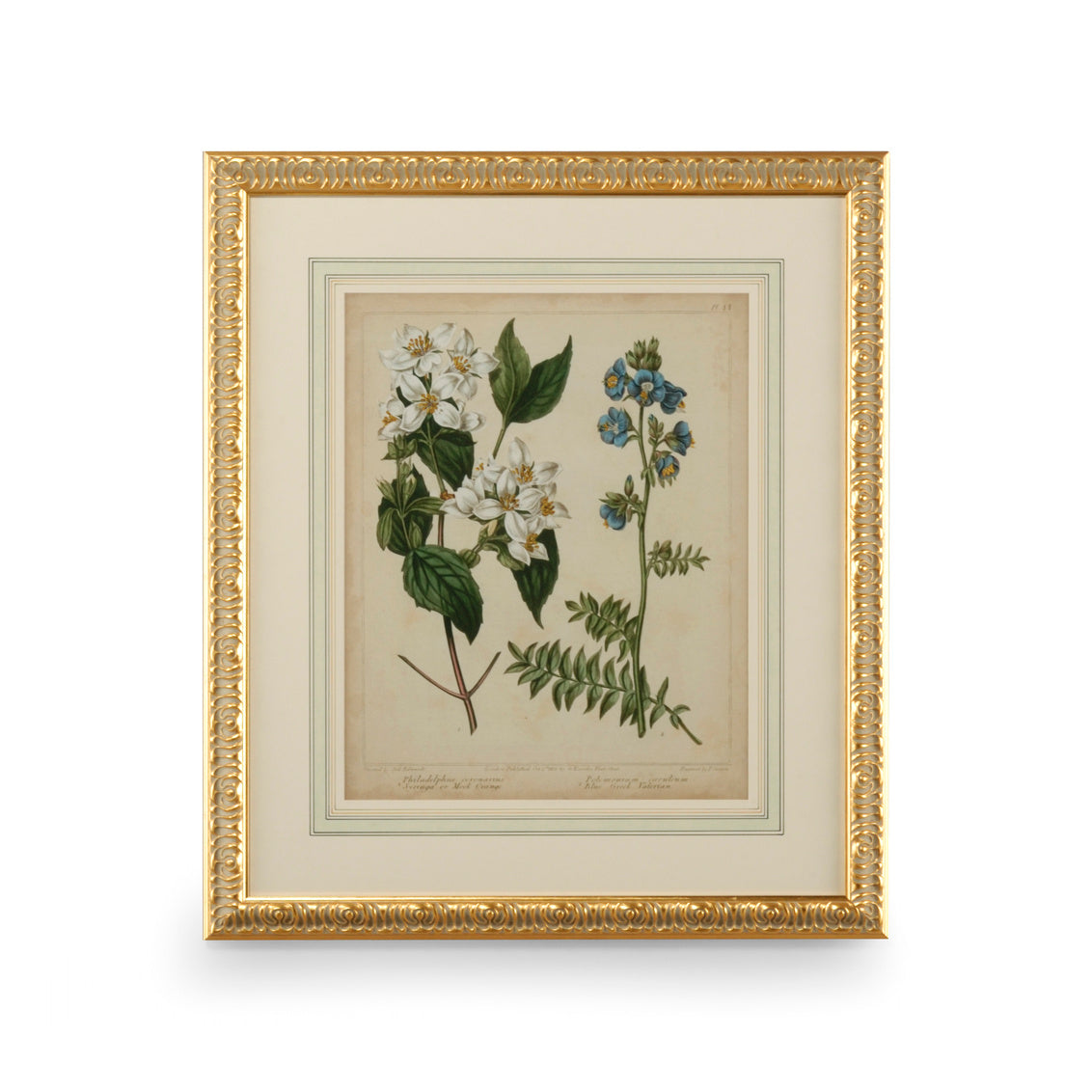 Chelsea House Cottage Florals I