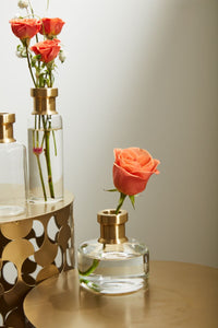 Design Shop Clear Jimmy Budvase, 4" X 4"