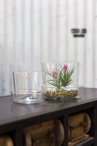 Design Shop Glass Pot with Saucer 4.75"x 4"