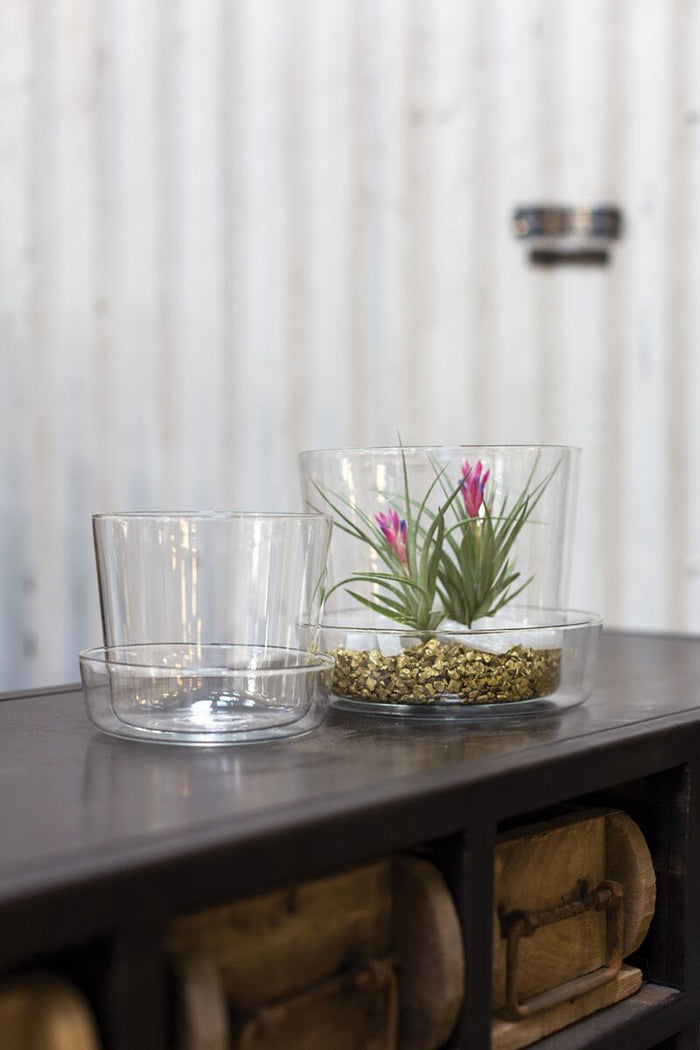 Design Shop Glass Pot with Saucer 4.75"x 4"
