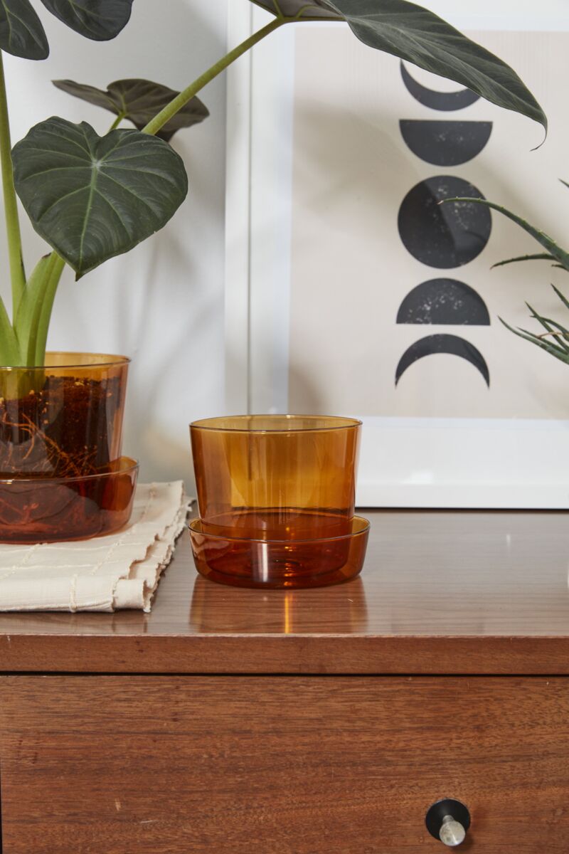 amber glass plant pot Glass Pot with Saucer - amber