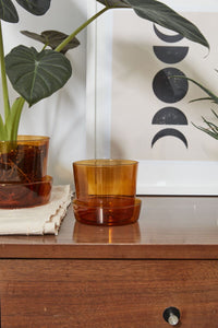 Design Shop Amber Glass Pot with Saucer, 4.75" X 4"