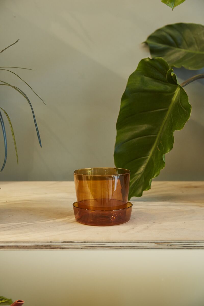 amber glass plant pot Glass Pot with Saucer - amber