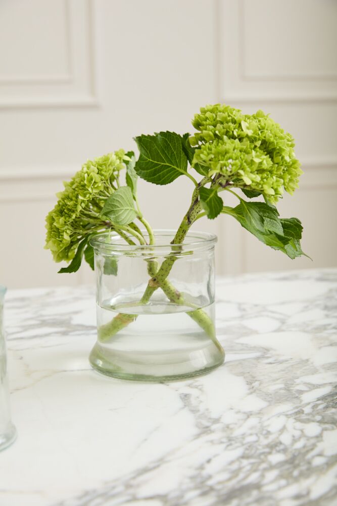 Design Shop Clear Veza Vase, 5" X 4.75".